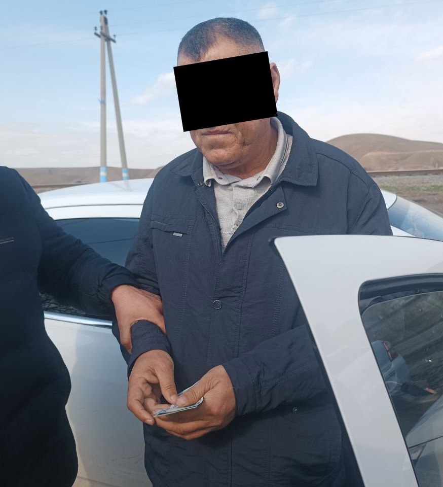  Сурхондарёда туман экология бўлими бошлиғи пора билан ушланди